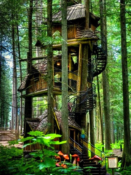 Three Story Tree House, British Columbia, Canada 