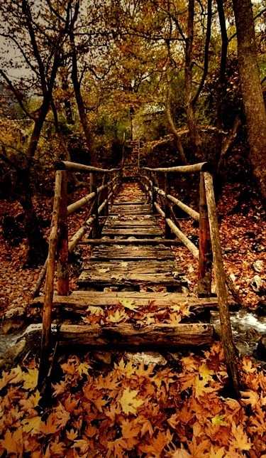 Autumn Bridge, Greece