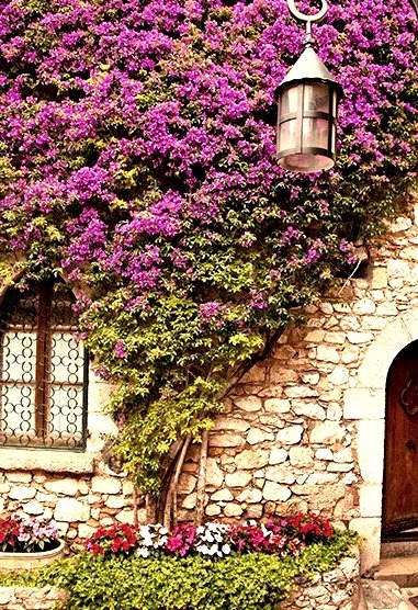 Ivy Cottage, Eze, France 