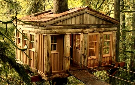 Temple of the Moon Treehouse Lodge, Seattle, Washington