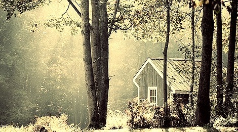 Morning Light, Forest Cottage, New Hampshire