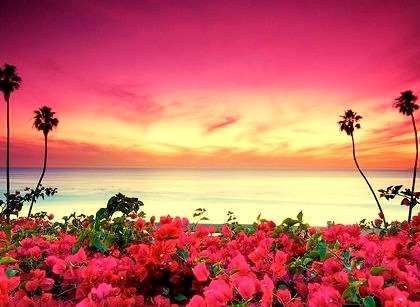 Seaside Sunset, San Clemente, California