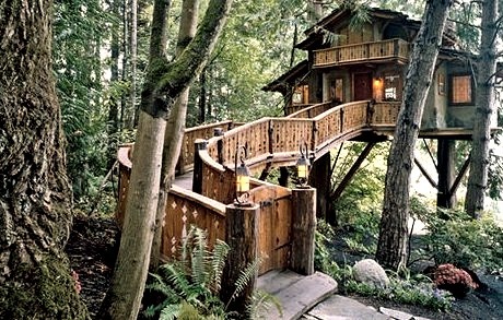 Inhabited Treehouse, Olympic Peninsula, Washington 
