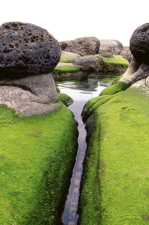 Mossy Inlet, Iceland
