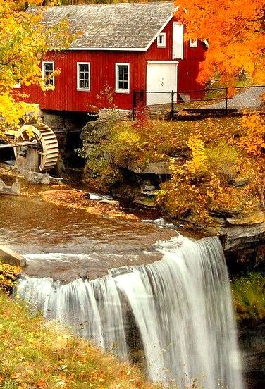 Autumn, Morningstar Mill, South Carolina