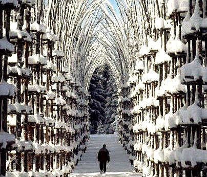 Snow Cathedral, Italy