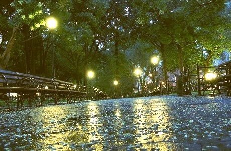 Rainy Night, Central Park, New York City