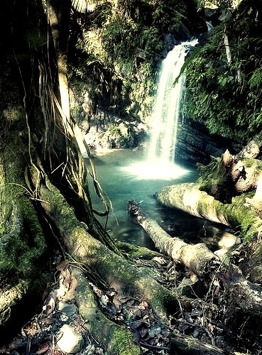 Waterfall, Rio Grande, Puerto Rico
